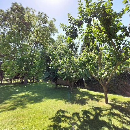 Country Residence Near Vienna Stillfried Εξωτερικό φωτογραφία